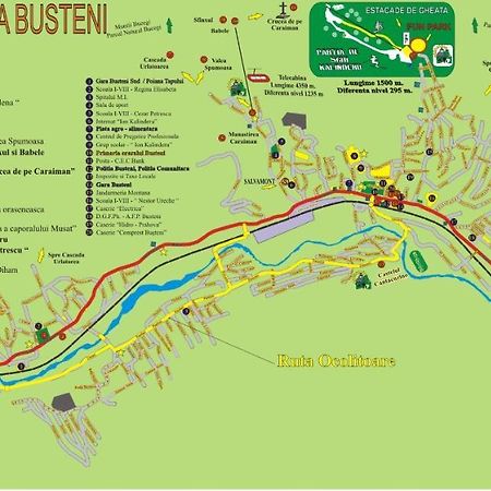 Studio 35 Busteni Ngoại thất bức ảnh