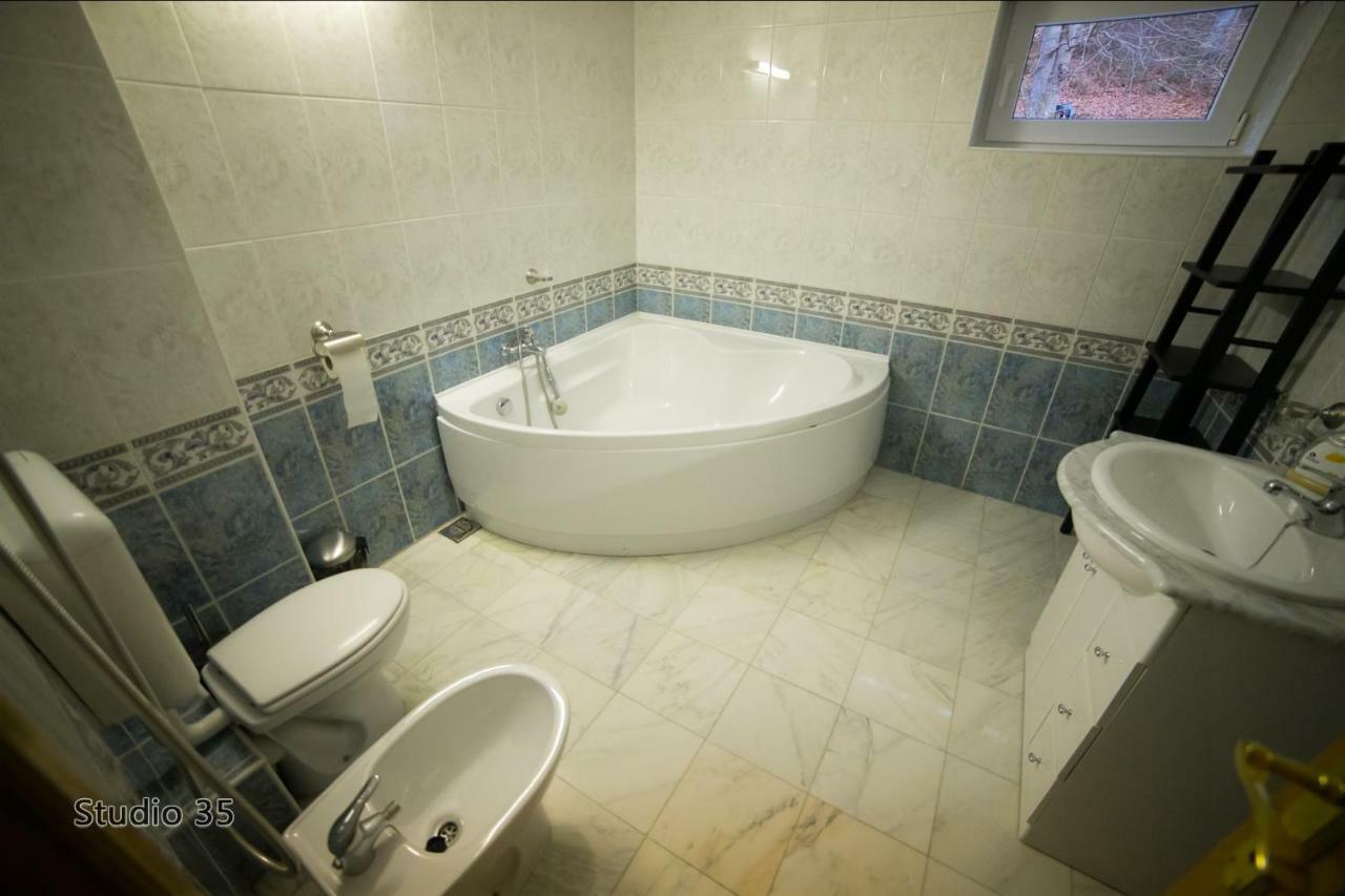 Studio 35 Busteni Ngoại thất bức ảnh